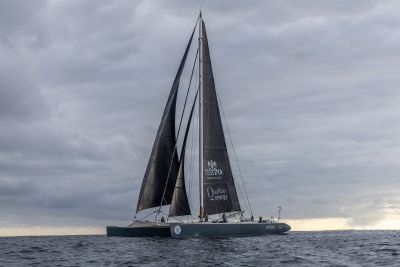 MAXICAT VICTORIA